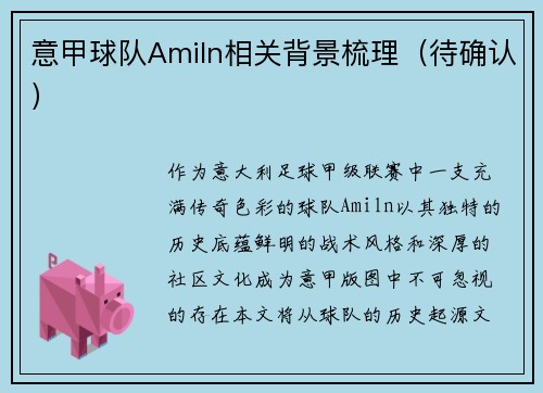 意甲球队Amiln相关背景梳理（待确认）
